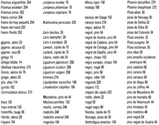 ARBOLES. 250 ESPECIES. GUIA. FLORA. PLANTAS.