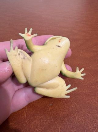 Action figure rana verde