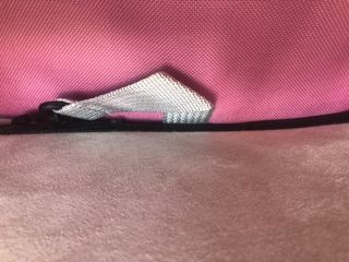 Mochila transportín para mascotas transparente