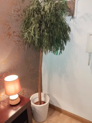 Planta Artificial Decorativa