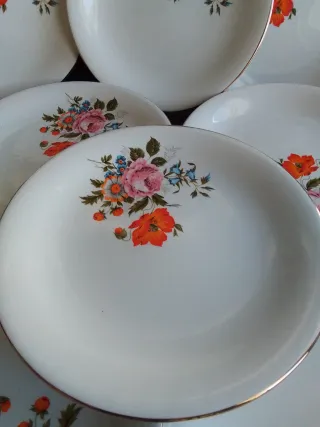 Platos San Claudio Florales (Nuevos)