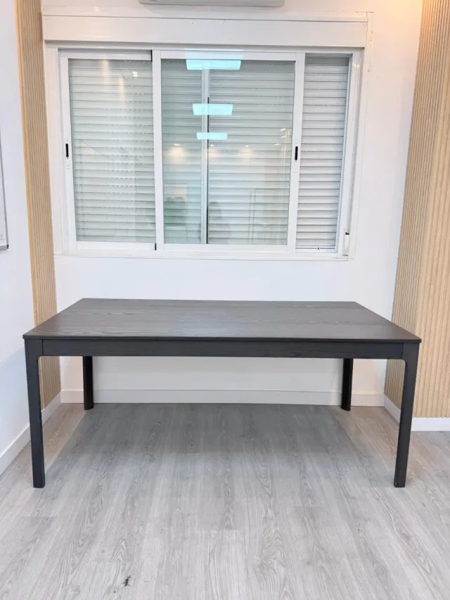 Mesa extensible 09687