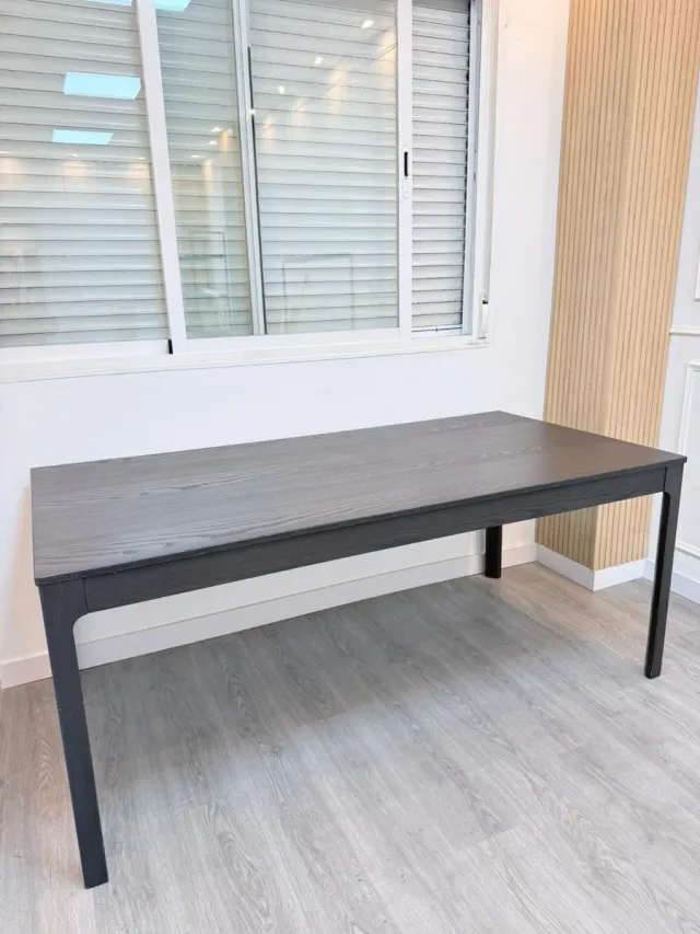 Mesa extensible 09687