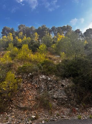 Permuta o venta de Terreno urbano en costa cunit