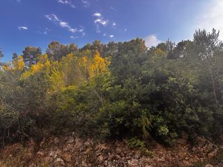 Permuta o venta de Terreno urbano en costa cunit