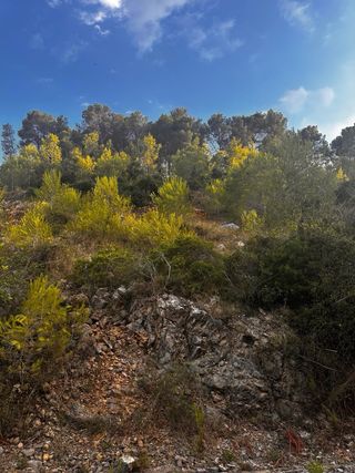 Permuta o venta de Terreno urbano en costa cunit