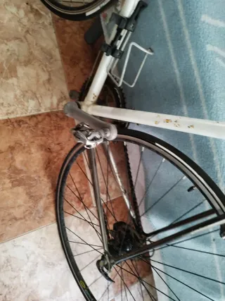 Bicicleta de carrera Macario