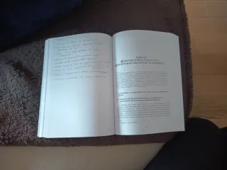 Manual de derecho constitucional: 3ª edición (S...