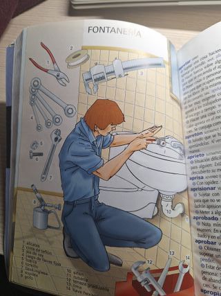 DICCIONARIO DE LENGUA ESPAÑOLA (PRIMARIA) (Pima...