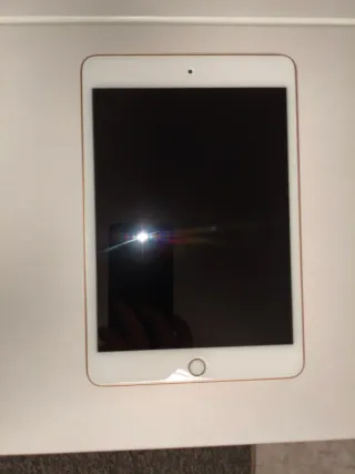 iPad mini 5 256 GB Oro