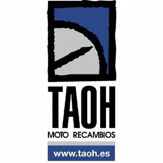 Manual Yamaha XV 250 Virago