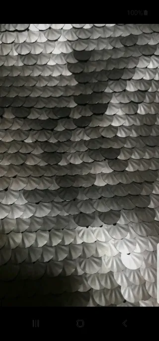 Falda Zara lentejuelas plateadas