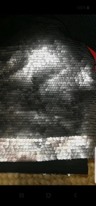 Falda Zara lentejuelas plateadas