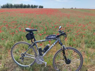 Amortiguador con bloqueo