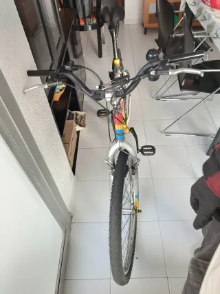 Bicicleta Montaña Vintage