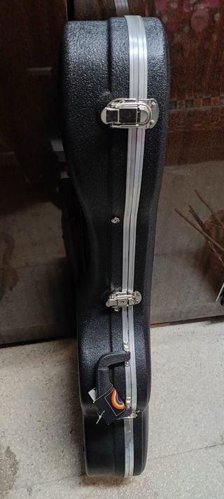 Funda de guitarra RITTER. Rígida