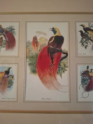 Cuadro de pájaros decorativo muy hermoso.