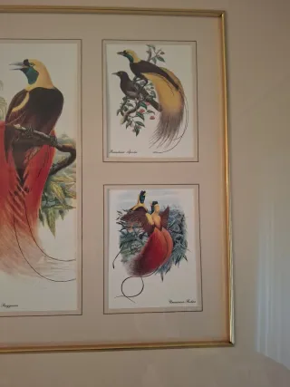 Cuadro de pájaros decorativo muy hermoso.