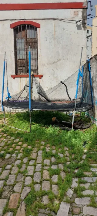 Cama elástica infantil