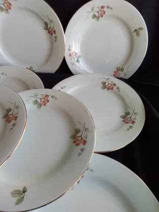 Platos Royal China Vigo - 12 unidades