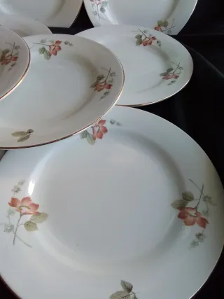 Platos Royal China Vigo - 12 unidades