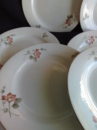 Platos Royal China Vigo - 12 unidades