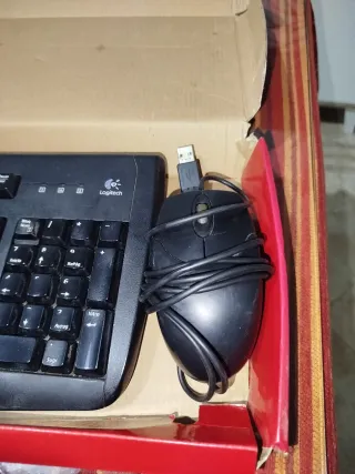 Teclado y Ratón Logitech KM-110X