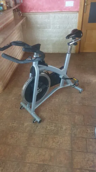 Bicicleta de Spinning Gris