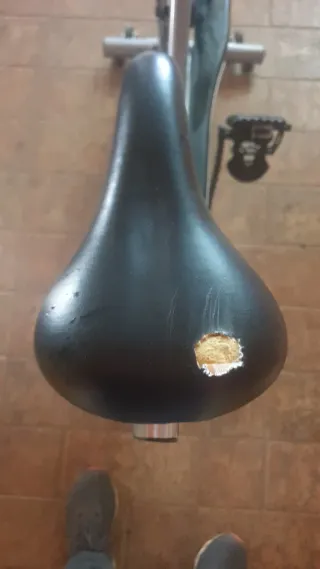 Bicicleta de Spinning Gris