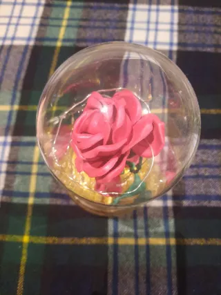 Rosa Bella y Bestia c/luces LED