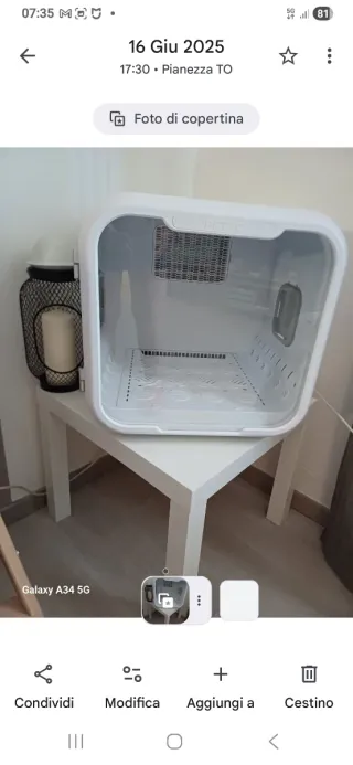 Asciugatrice per cani