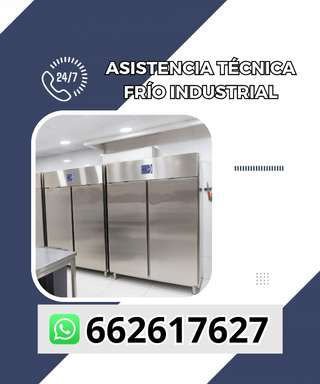 Asistencia técnica frío industrial