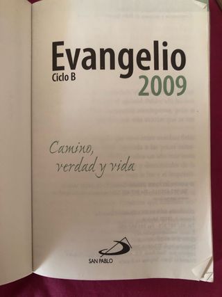 Lote de 2 libros del Evangelio
