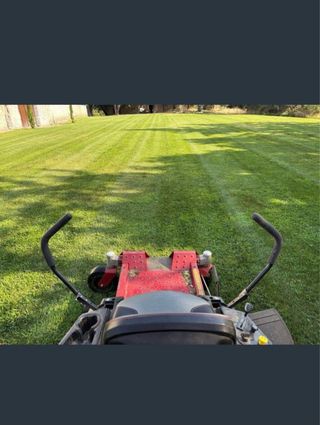 Trabajos de jardinería