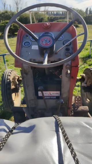 Massey Ferguson 165