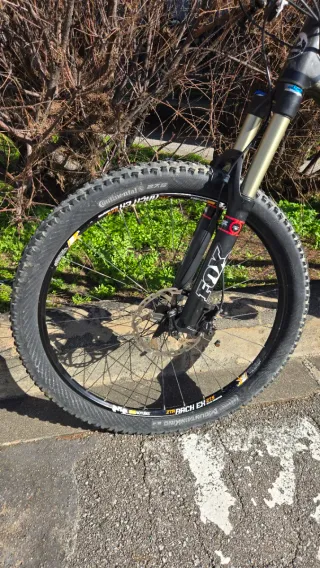 Rocky Mountain Altitude 770 Carbono MTB