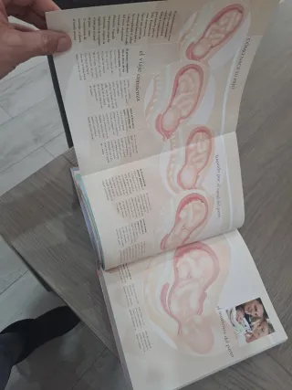 La biblia del embarazo - Edición actualizada