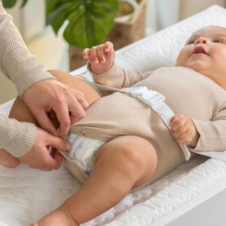 Summer by Ingenuity Cambiador contorneado de la co