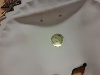 Coppia maschere carnevale