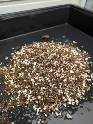 Sustrato plantas carnívoras 4 litros.