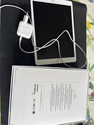 Apple iPad A2197 Plata