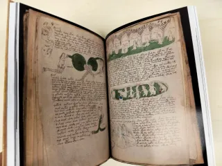 Libro antiguo de colección . Manuscrito Voynich