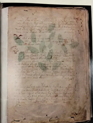 Libro antiguo de colección . Manuscrito Voynich