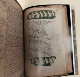 Libro antiguo de colección . Manuscrito Voynich