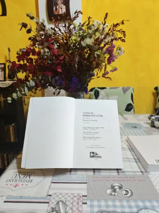 DERECHO CIVIL V: DERECHO DE SUCESIONES