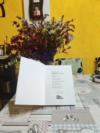 DERECHO CIVIL V: DERECHO DE SUCESIONES