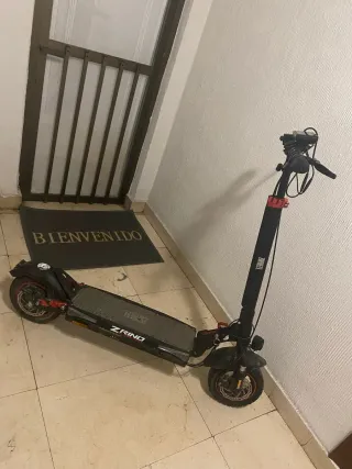 Patinete Eléctrico Z Rino