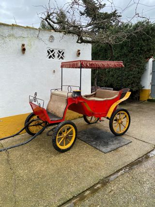 Se vende carro de pony
