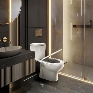 Inodoro Blanco, Wc Inodoro COMPLETO, Retrete para