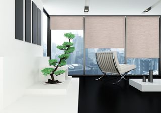 - Estoralis BRAN - Estor Enrollable, 150 x 175 c